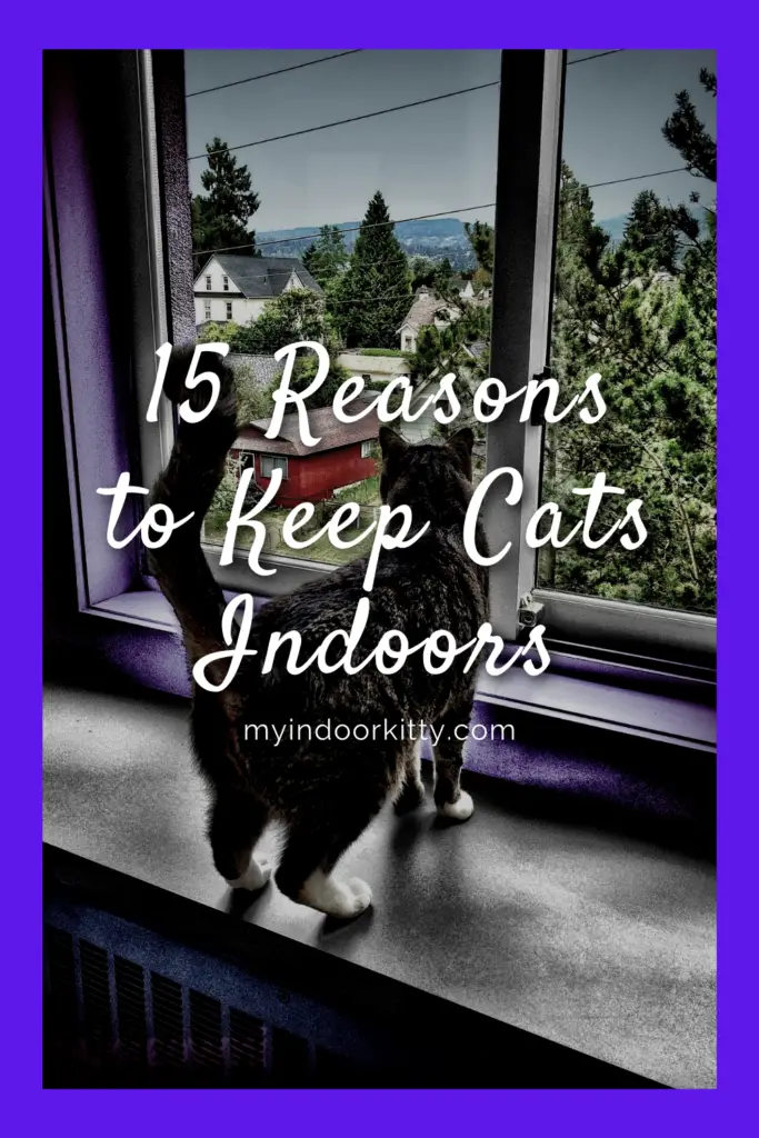 15 Reasons to Keep Cats Indoors