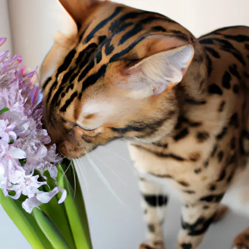 Are Hyacinths Poisonous To Cats